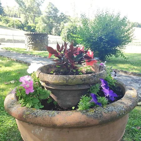 Con Giardino Camugnano
