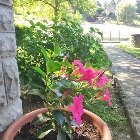 Con Giardino Prázdninový dům