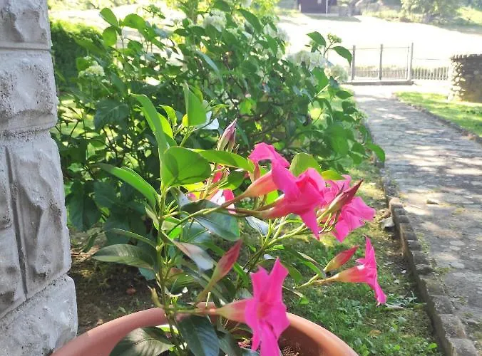 Con Giardino Hébergement de vacances